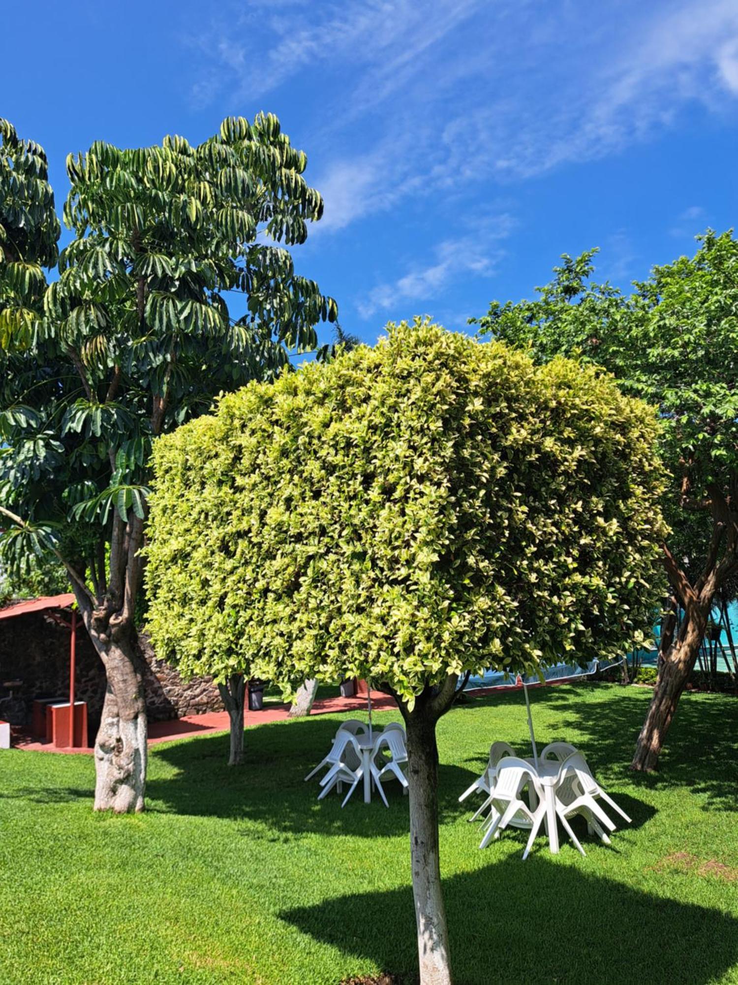 Hotel Quinta Paraiso 코코욕 외부 사진