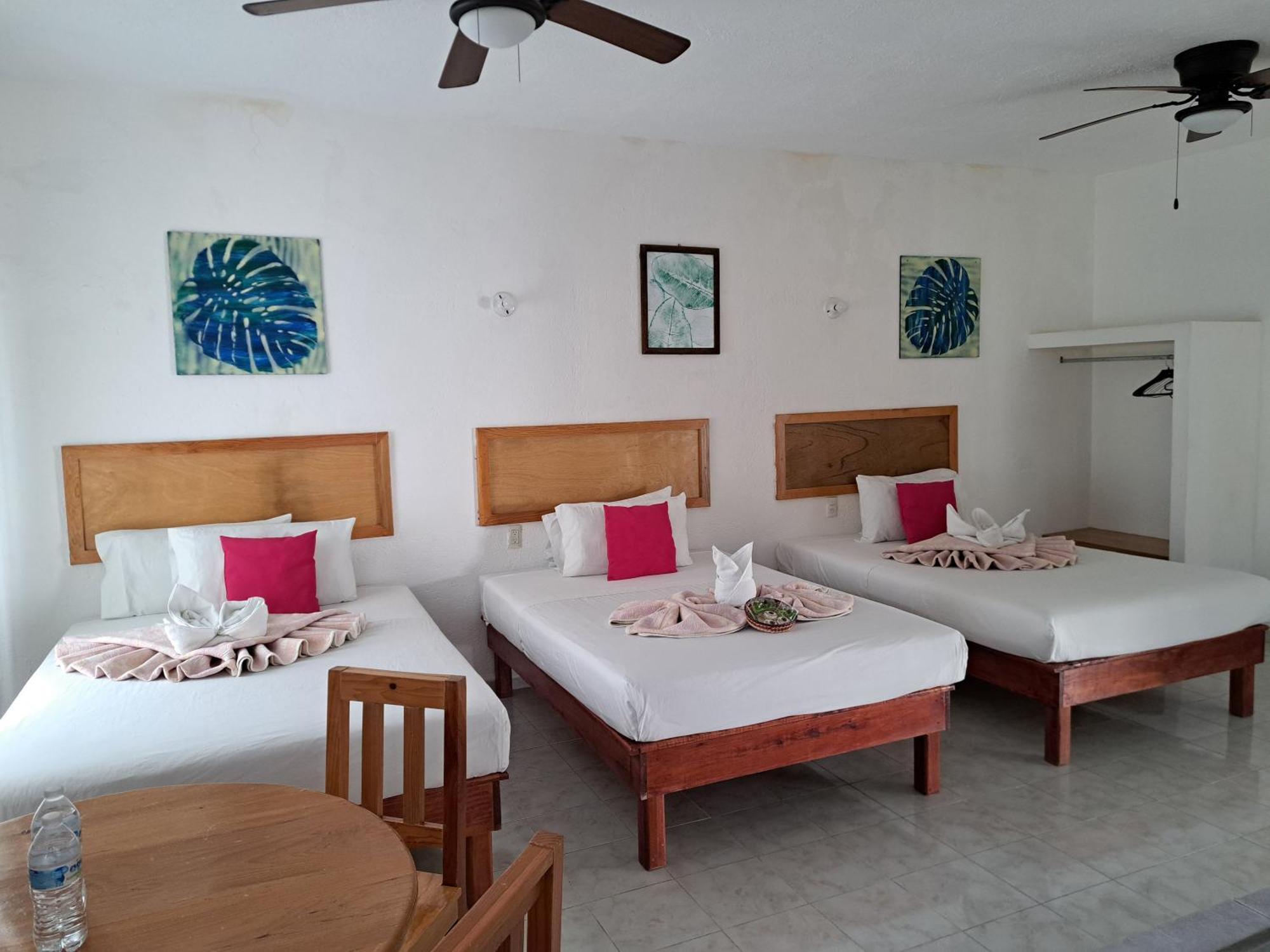 Hotel Quinta Paraiso 코코욕 외부 사진
